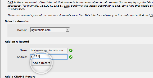 dns in siteground