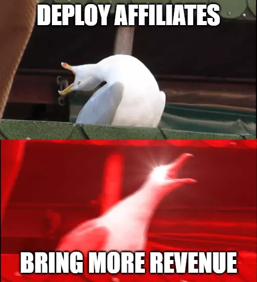 affiliate marketing meme