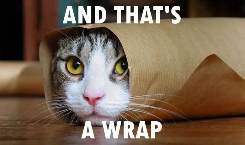 cat wrap conclusion meme