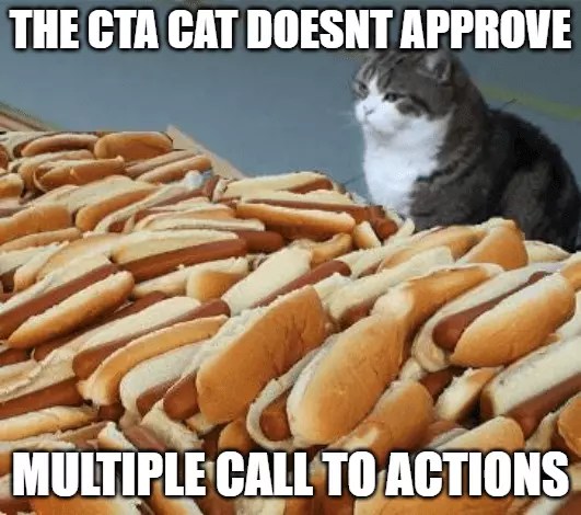 cta call to action cat meme